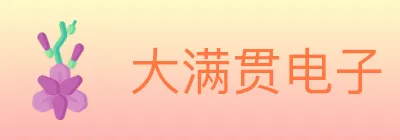 大满贯电子 logo
